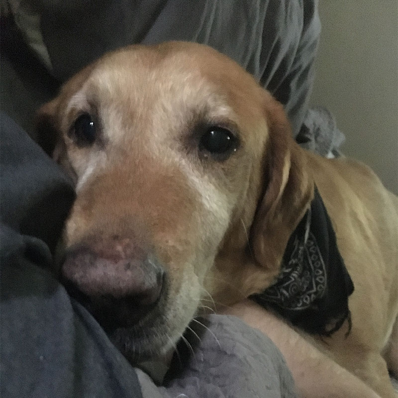 Malcolm and me in bed the morning after his vet visit